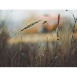 Practical Rubber Bag fr-FR